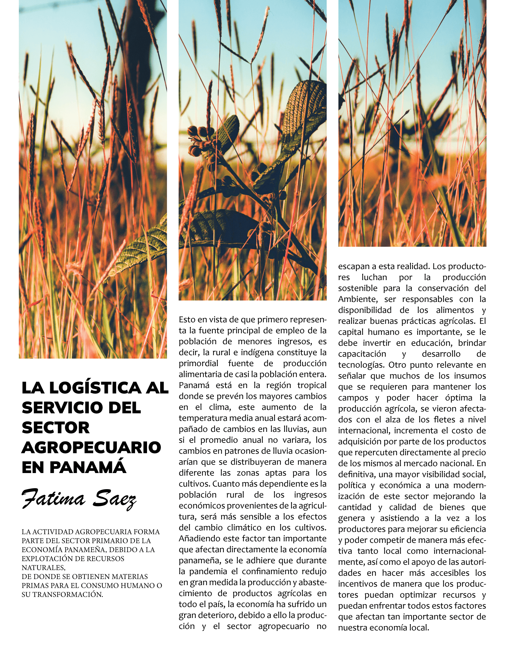 La Lógistica al servicio del sector Agropecuario en Panamá